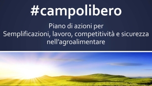 campolibero_slide_governo2014