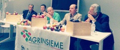 20150728_cianazionale_expo_ortofrutta_agrinsieme