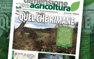 Dimensione Agricoltura di ottobre 2018