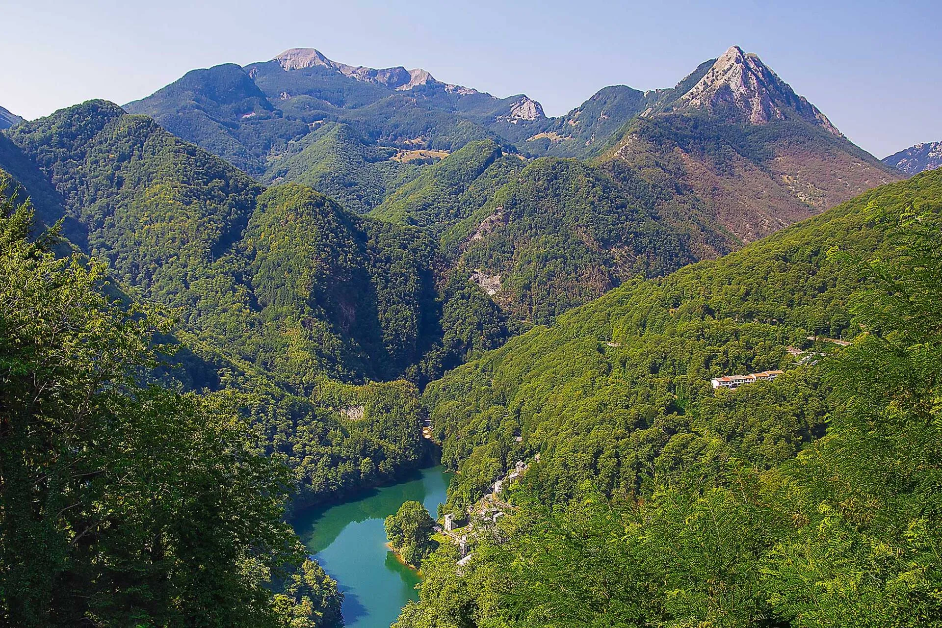 ciatoscana_bosco
