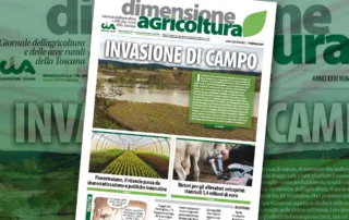 Dimensione Agricoltura febbraio 2021