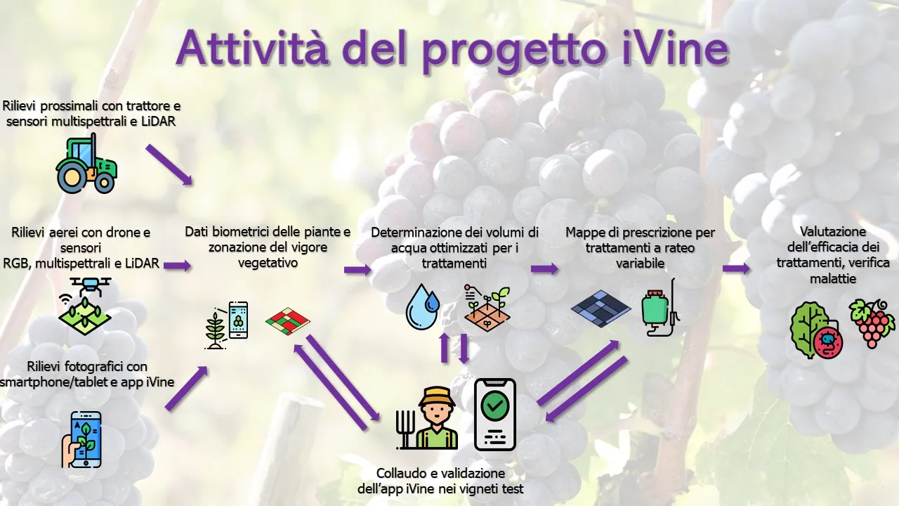 ivine_presentazione
