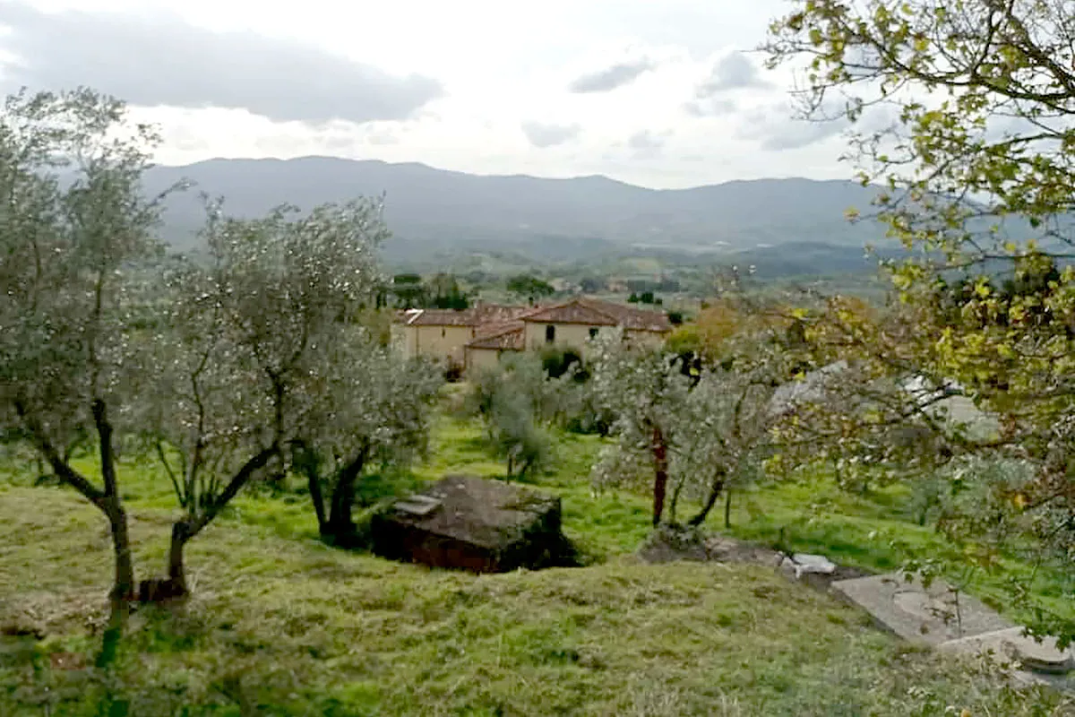 la-fruttosa-17