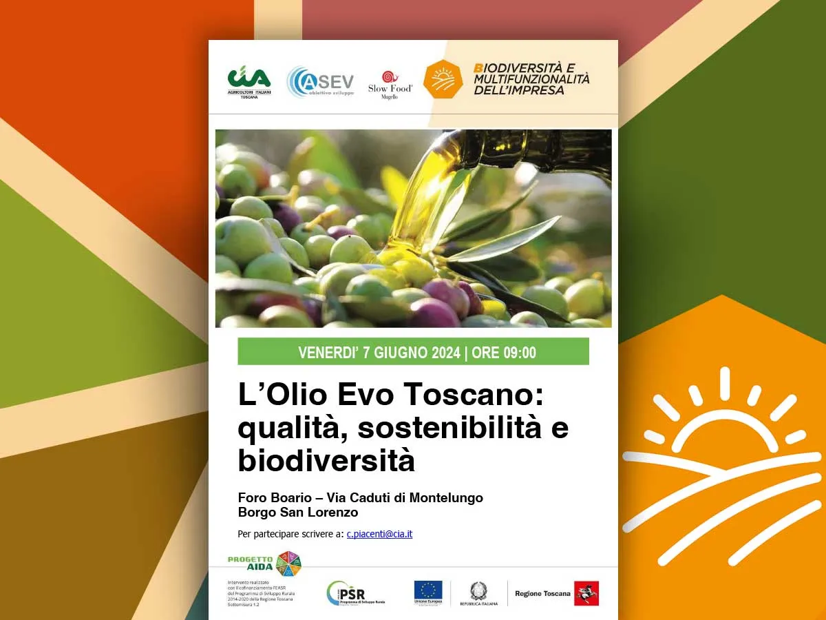 20240607_progetto-aida_olio_borgo-san-lorenzo_slider
