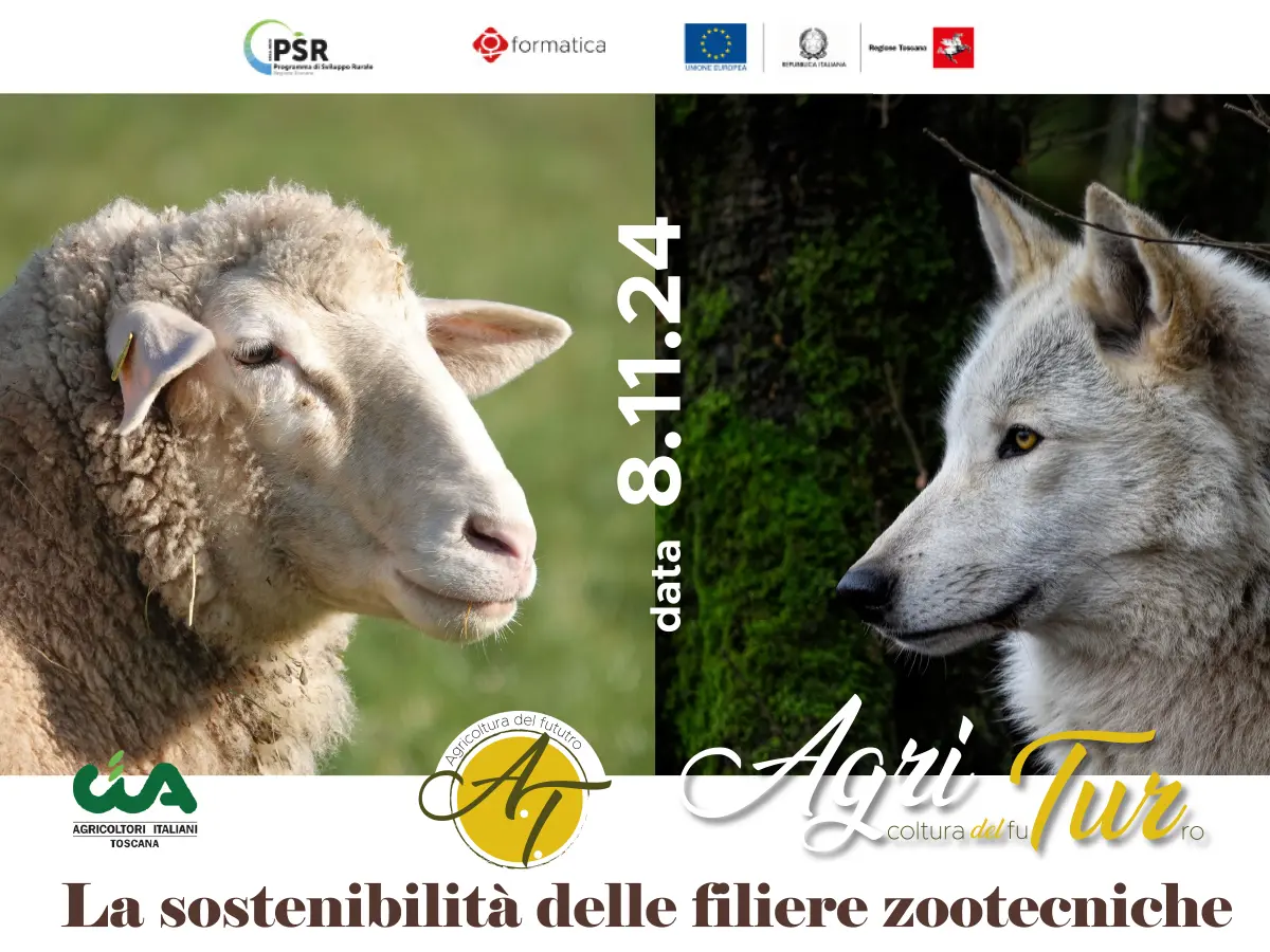 20241108_progetto_agritur_zootecnia_grosseto_slider