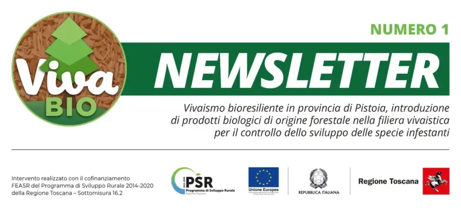 vivabio_newsletter_testata_01