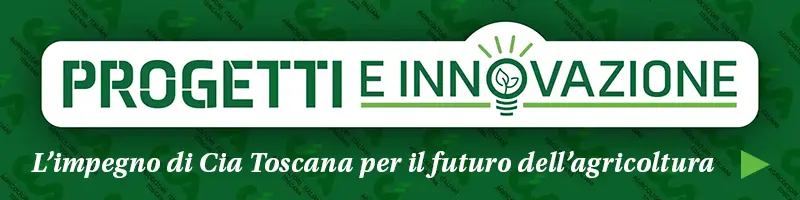 Progetti e Innovazione