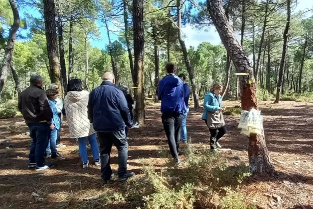 starforest_da202511_visita