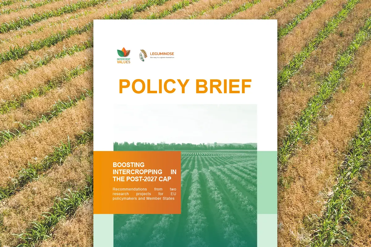 leguminose_intercroppingvalues_policy-brief