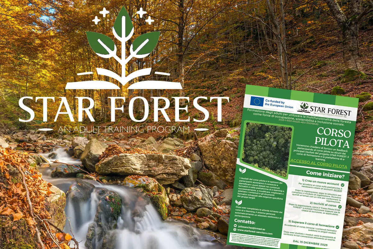star-forest_formazione_slider