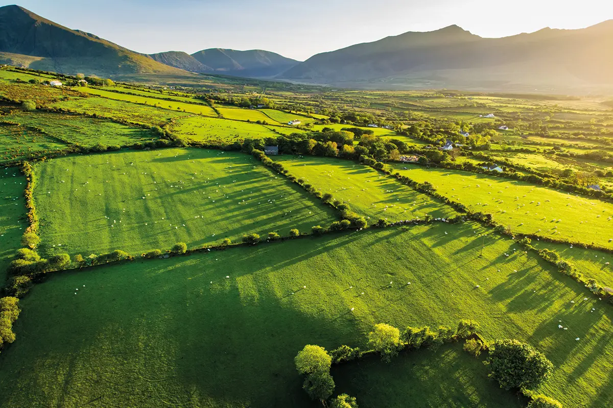 reimagine-food_ireland-landscape