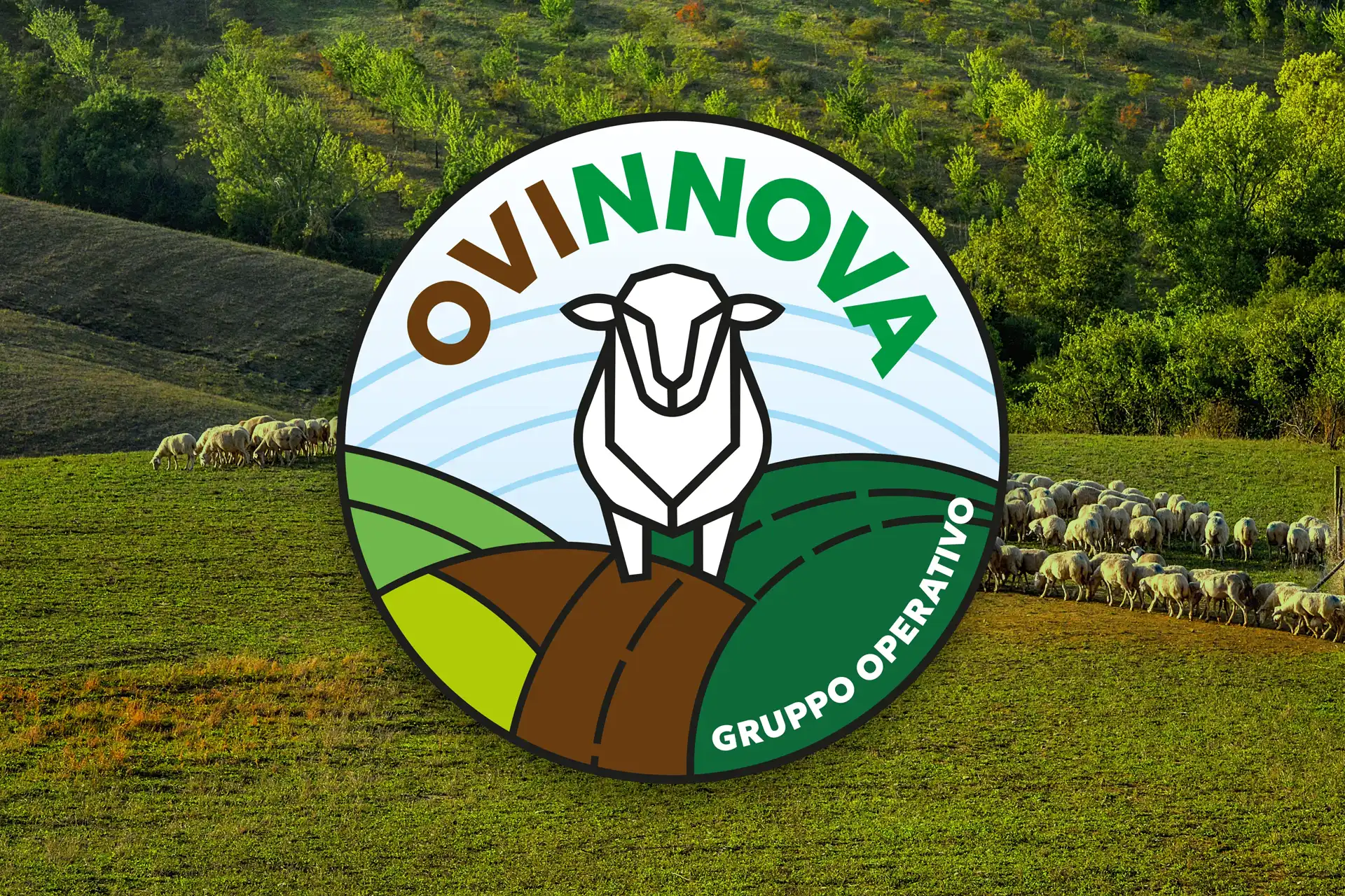 ovinnova_slider_verde